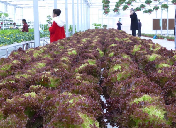 探梅關(guān)古道 看人間滄桑