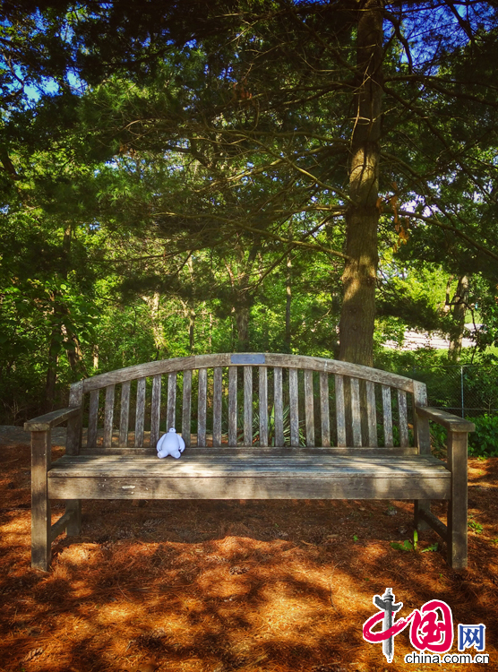 大白的美國游歷記[上篇]