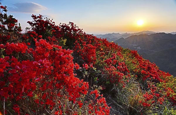 中國新聞攝影學(xué)會創(chuàng)作基地落戶隆林