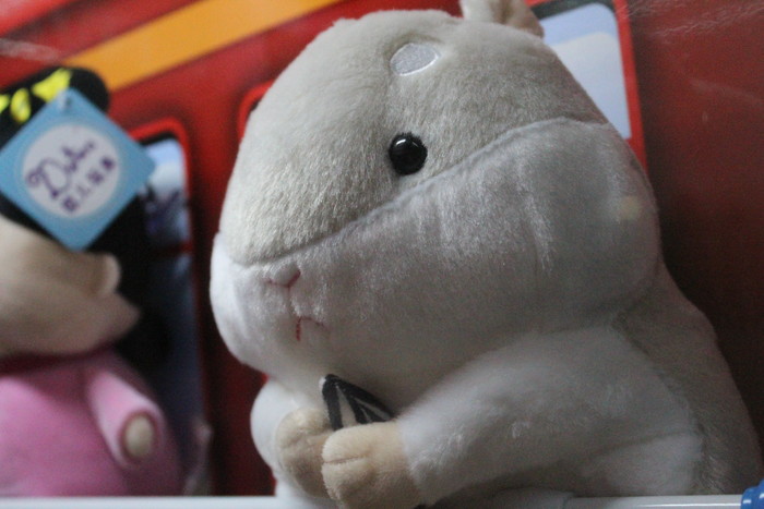 家用入門單反 佳能EOS 1500D、3000D評測