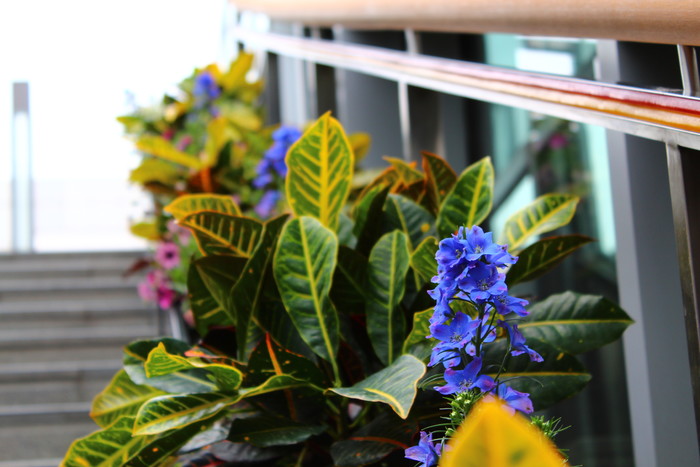 家用入門單反 佳能EOS 1500D、3000D評測