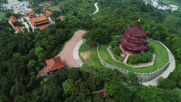 慶祝改革開放40周年：全國百家媒體聚焦花樣漳州