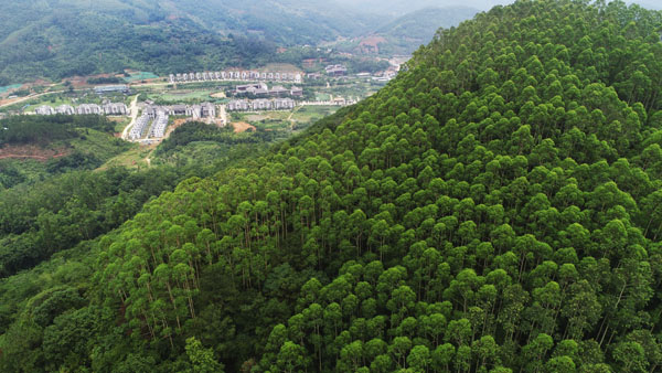 慶祝改革開放40周年：全國百家媒體聚焦花樣漳州