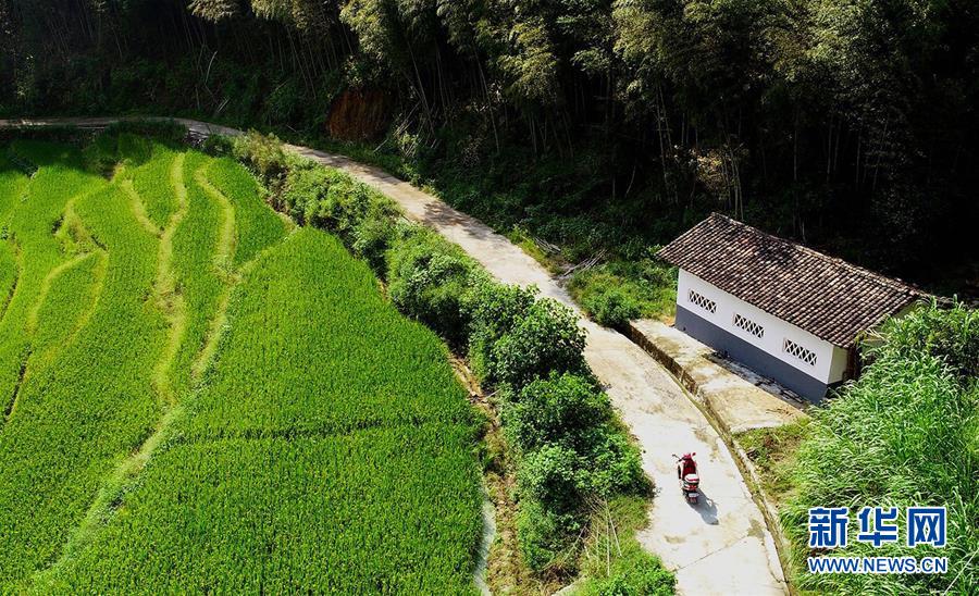 （圖片故事）（1）一位90后鄉(xiāng)村教師的堅(jiān)守