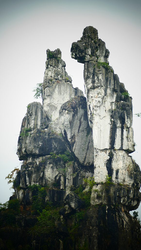 慶祝改革開放40周年 百家媒體聚焦興文 新聞攝影采訪活動啟動