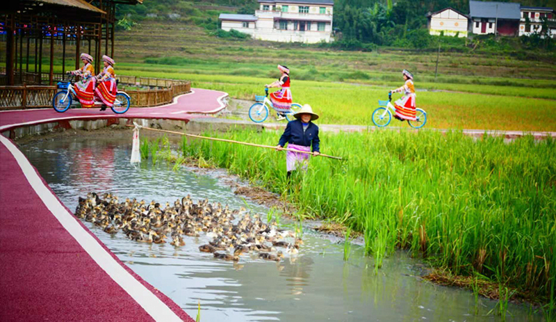 四川興文：鄉(xiāng)村振興戰(zhàn)略富農(nóng)家