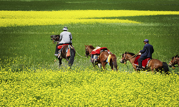 “中華之美”甘肅金張掖影像巡展在北京開幕