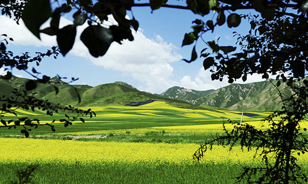 “中華之美”甘肅金張掖影像巡展在北京開幕