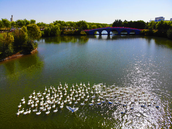 “中華之美”甘肅金張掖影像巡展在北京開幕