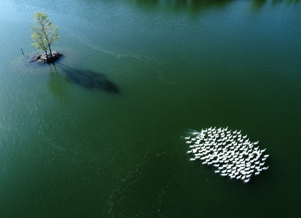 “中華之美”甘肅金張掖影像巡展在北京開幕