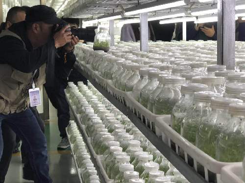 2018形象中國(guó)·全國(guó)百家媒體聚焦幸福六安舉行開(kāi)鏡儀式