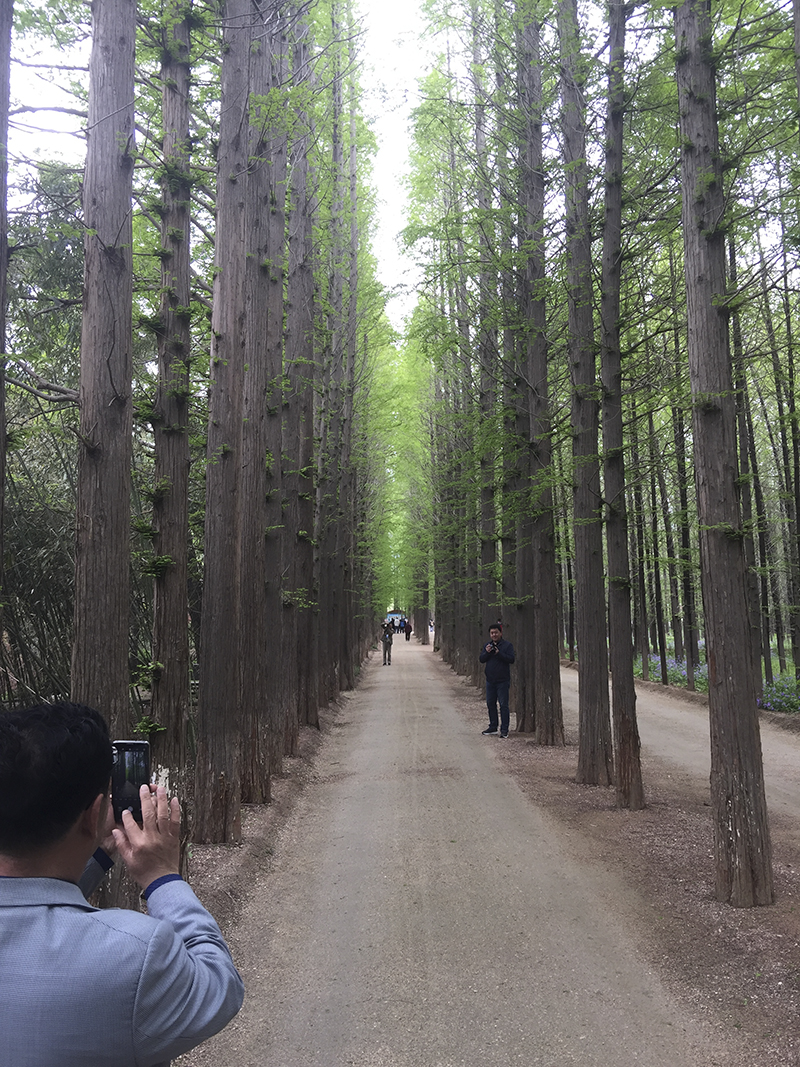 手機(jī)拍日照之三：徐祖根視角