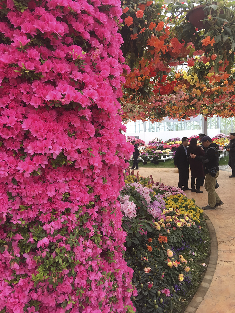 手機(jī)拍日照之三：徐祖根視角