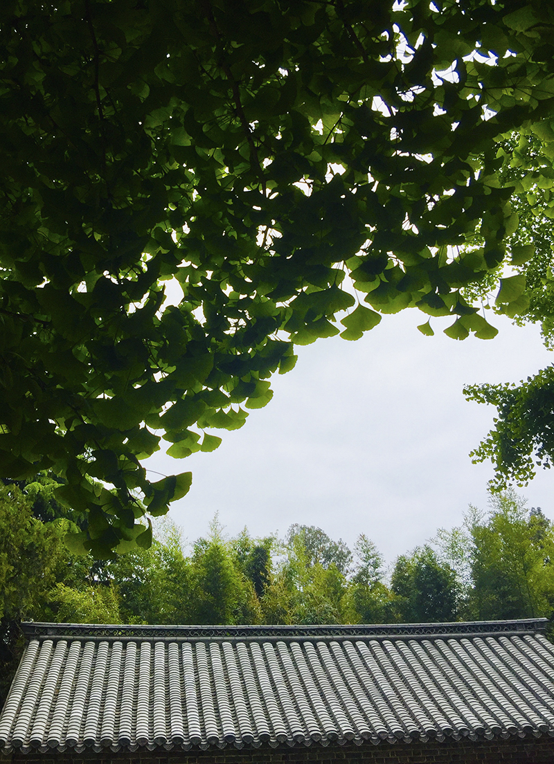 手機(jī)拍日照之三：徐祖根視角