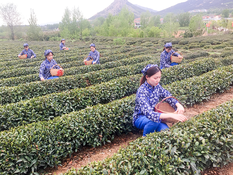 手機(jī)拍日照之一：邱汝泉視角