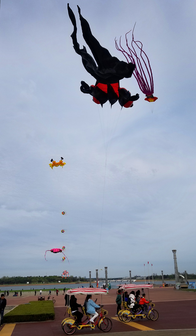 手機(jī)拍日照之四：周朝榮視角