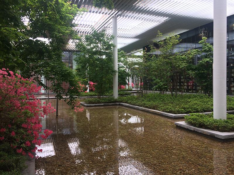 手機看日照之六：費強視角