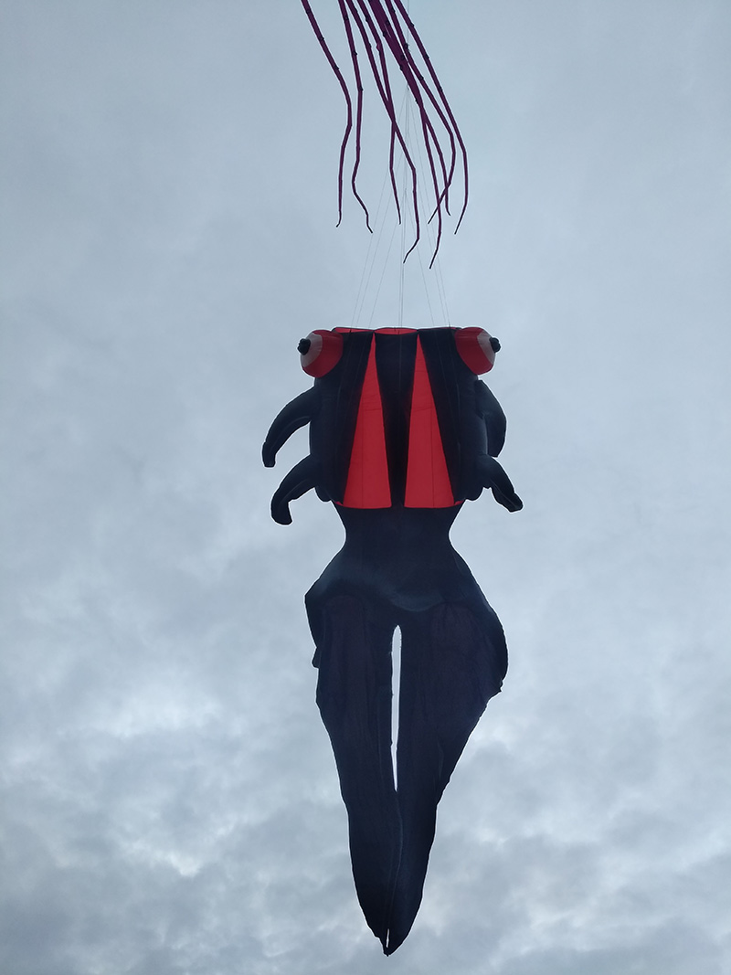 手機(jī)拍日照之七：張洪哲視角