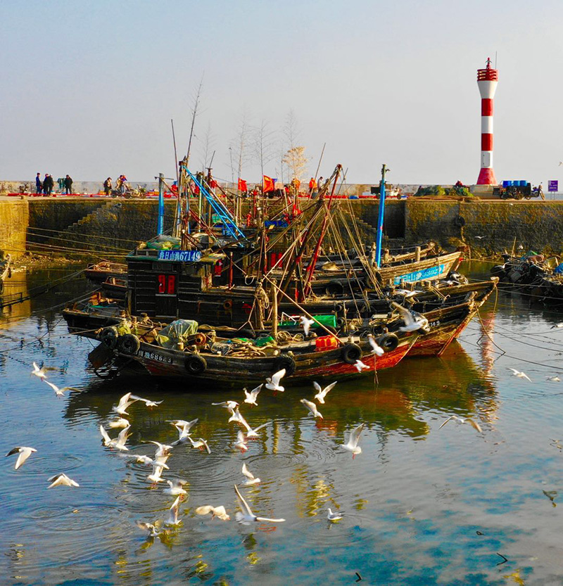 手機拍日照之八：景衛(wèi)東視角