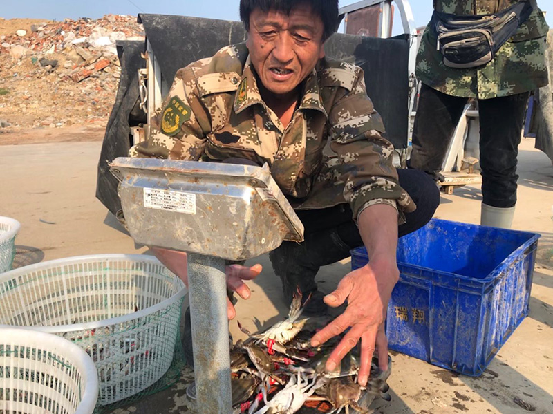 手機拍日照之八：景衛(wèi)東視角