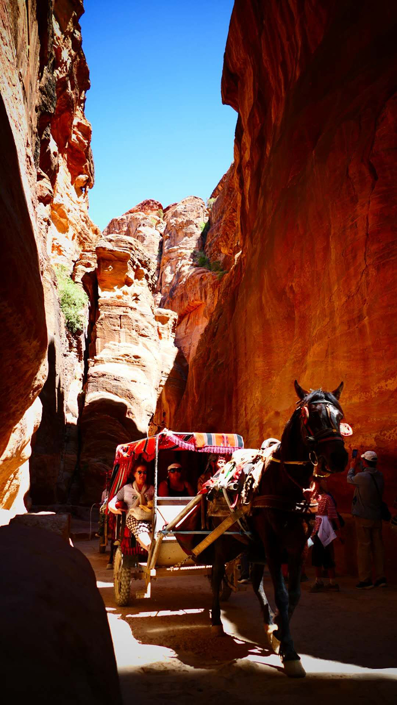 走近約旦世界文化遺產(chǎn)佩特拉古城