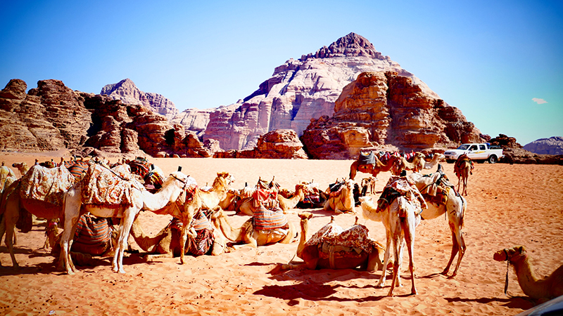 游約旦瓦迪拉姆沙漠（月亮谷）——世界自然和文化雙遺產(chǎn)