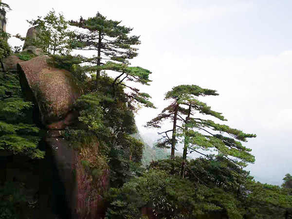 主流媒體＂助力鄉(xiāng)村振興．聚焦大美上饒＂新聞攝影釆訪活動(dòng)今日啟動(dòng)