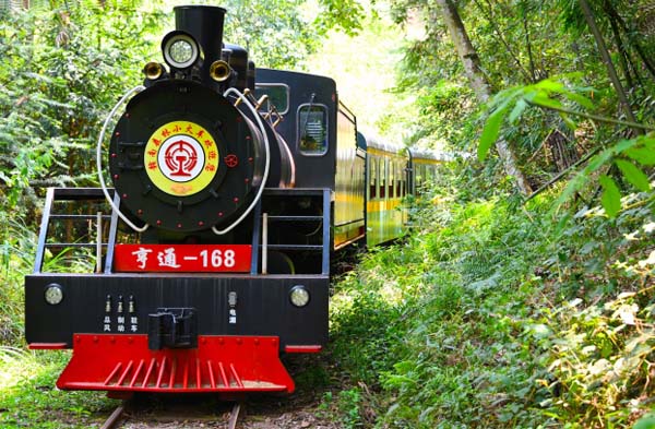 紅土地上煉“四力” 長征起點悟初心