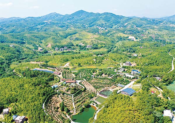 紅土地上煉“四力” 長征起點悟初心