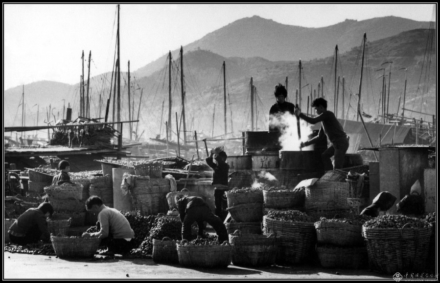 粵澳追夢 家國情懷——慶祝澳門回歸祖國20周年攝影展