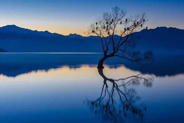 打破 “黃金時刻” 依賴癥！如何在不同時間段拍出好片