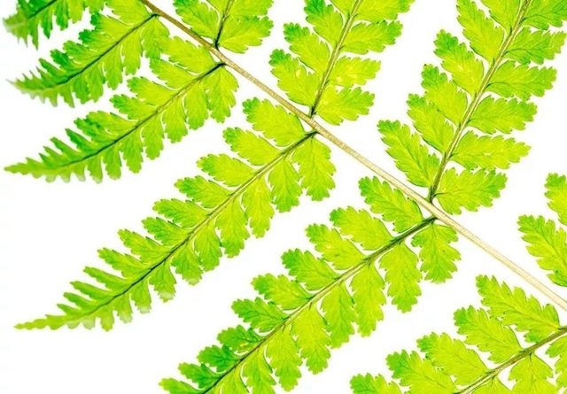 一分錢十分貨！4種低成本微距特效制作方案