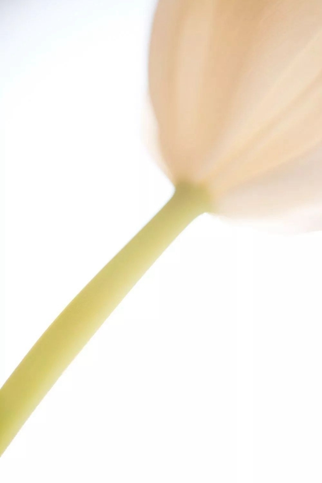 一分錢十分貨！4種低成本微距特效制作方案