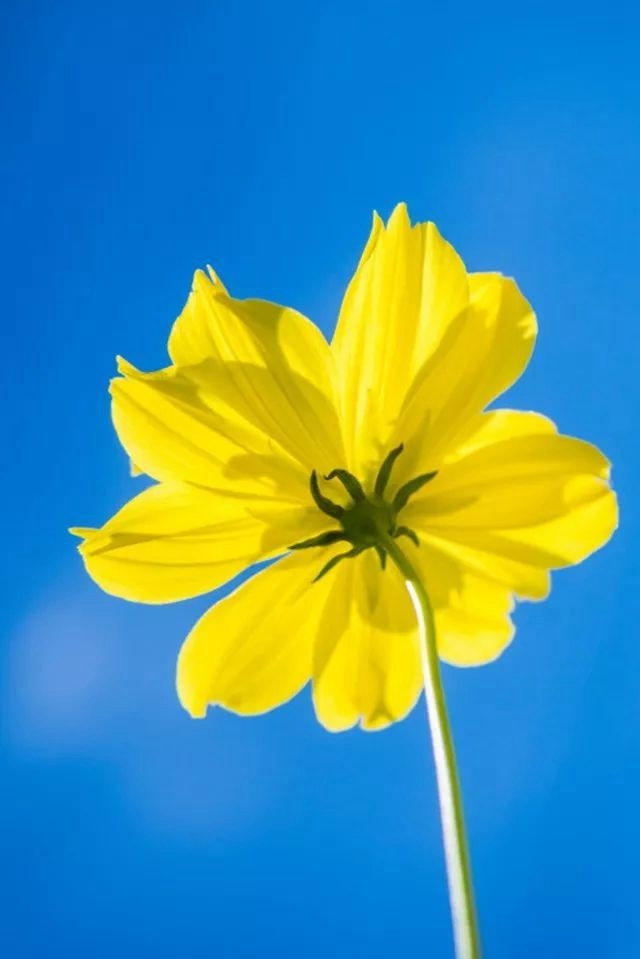 一分錢十分貨！4種低成本微距特效制作方案