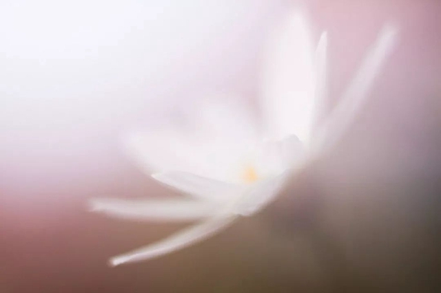 一分錢十分貨！4種低成本微距特效制作方案