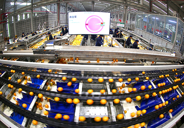 “壯麗70年　奮斗新時代——我和我的祖國·印記”全國視覺大賽落幕