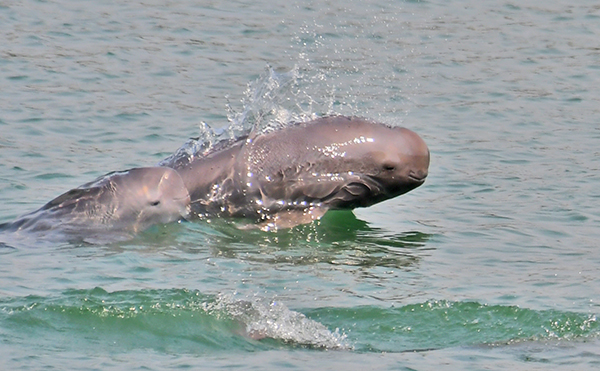 “壯麗70年　奮斗新時代——我和我的祖國·印記”全國視覺大賽落幕