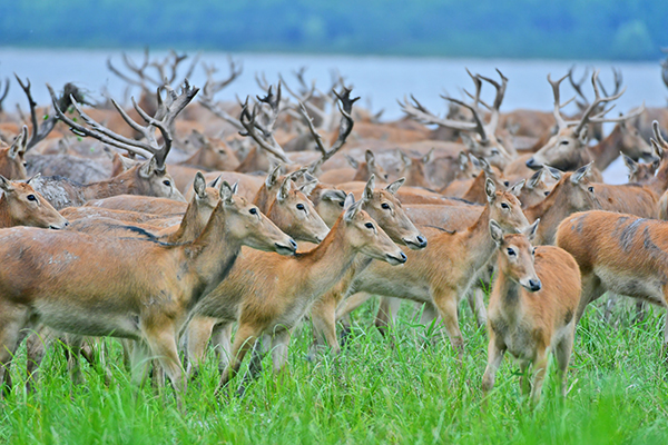 “壯麗70年　奮斗新時代——我和我的祖國·印記”全國視覺大賽落幕