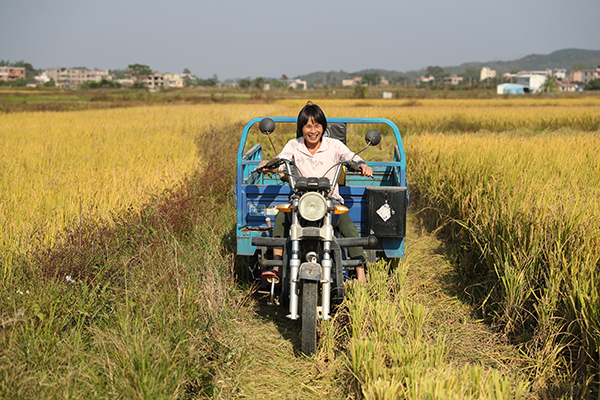 “壯麗70年　奮斗新時代——我和我的祖國·印記”全國視覺大賽落幕