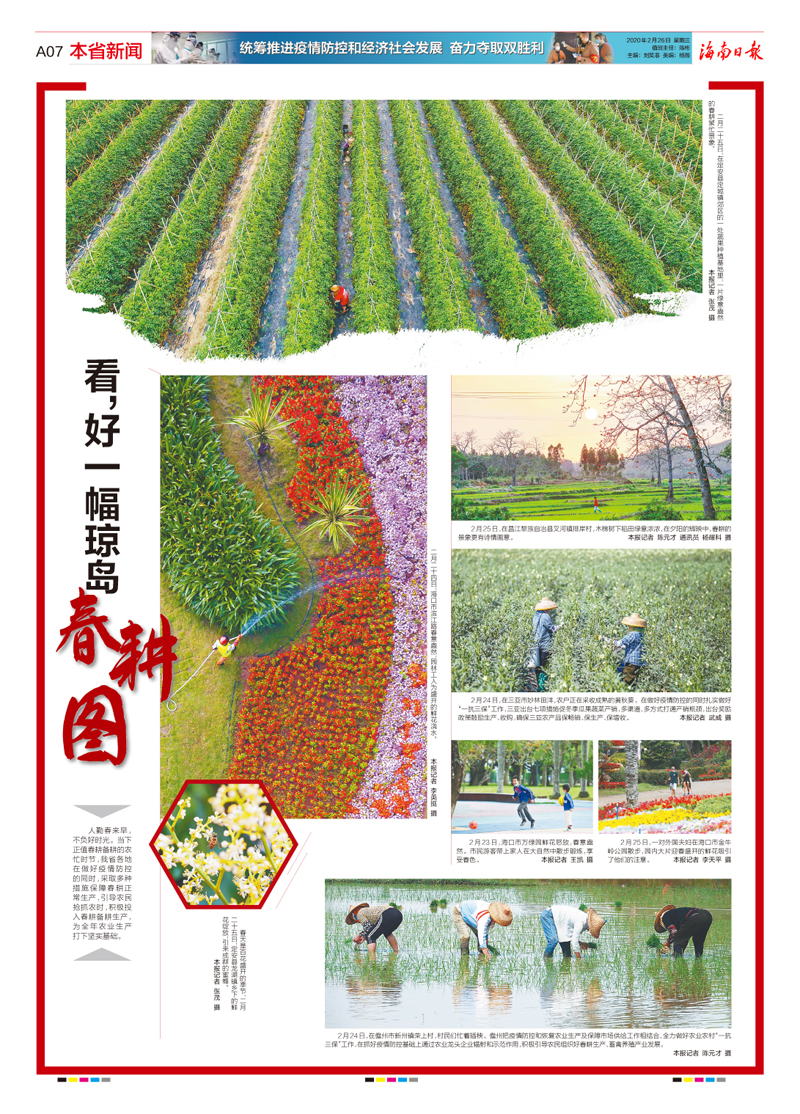 海南日報抗擊疫情攝影專版