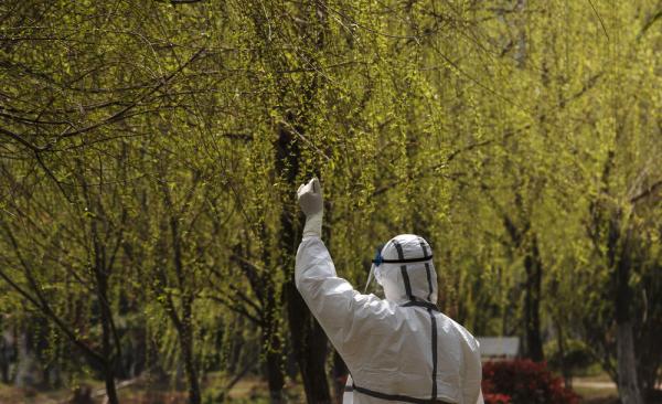 白衣戰(zhàn)士，你的名字寫滿了這個(gè)春天！