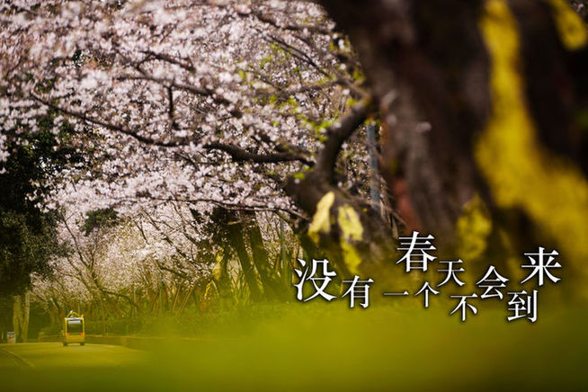 白衣戰(zhàn)士，你的名字寫滿了這個(gè)春天！