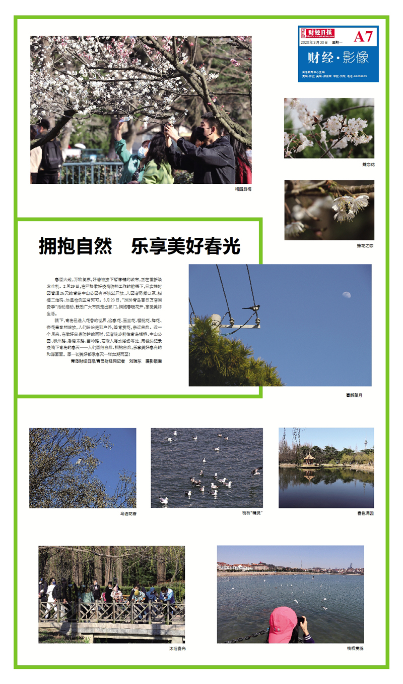 青島財(cái)經(jīng)日?qǐng)?bào)抗擊疫情攝影專版