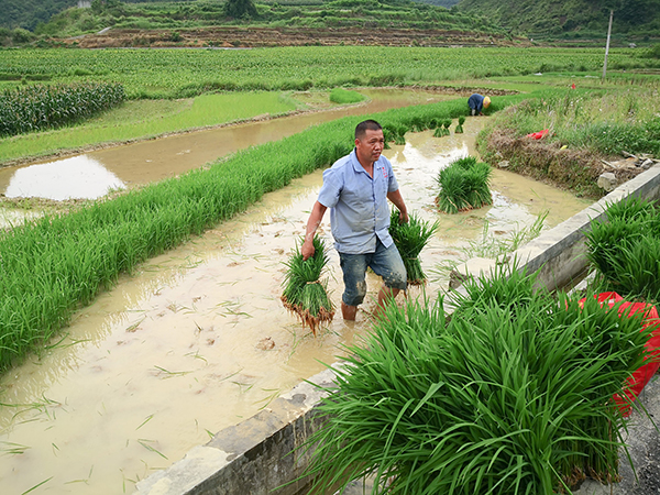 中國新聞攝影學(xué)會會員聚焦靖西 見證國定貧困縣的華麗逆襲