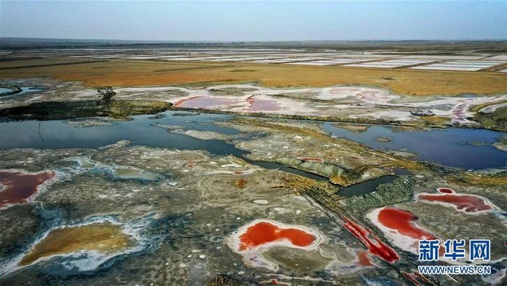 （社會）（1）千年鹽湖 絢爛塞上