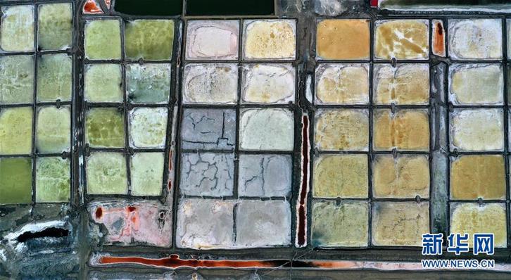 （社會）（2）千年鹽湖 絢爛塞上