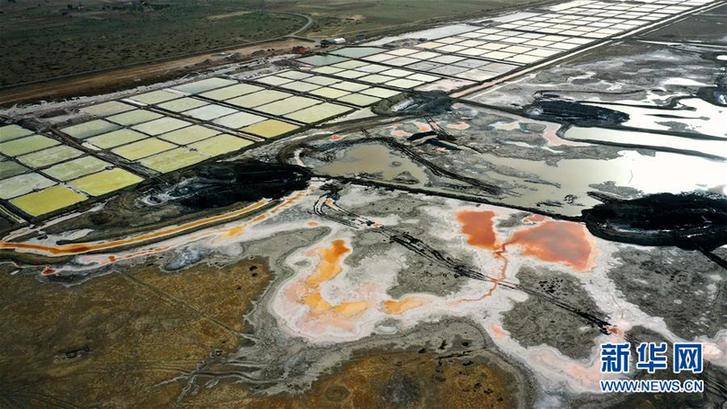 （社會）（4）千年鹽湖 絢爛塞上