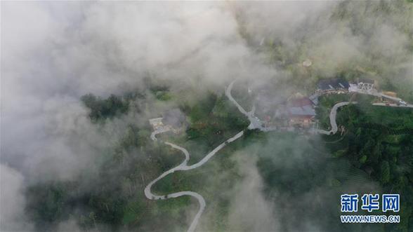 #（美麗中國(guó)）（2）湖北利川：云海似畫(huà)卷