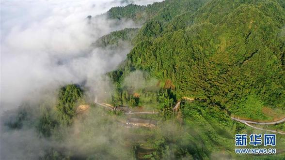 #（美麗中國(guó)）（6）湖北利川：云海似畫(huà)卷