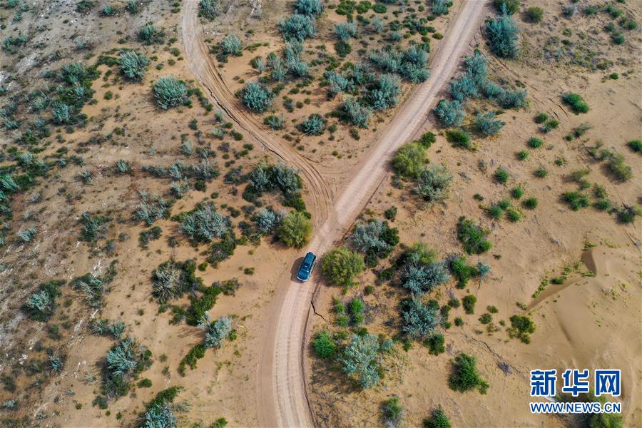 （環(huán)境）（3）庫(kù)布其沙漠披綠裝　